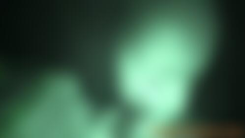 Ragdoll's Audition - Round One - 4K - post hidden image