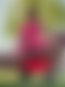 To start your week a little naughtier 😈 - post hidden image