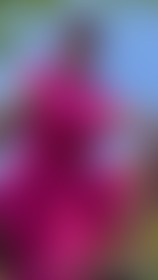 What would you do? 😜 - post hidden image