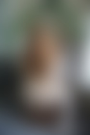 Angel or devil? 

When we reach the goal you can find out 😈 
I have a whole naug... - post hidden image