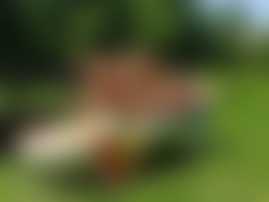 how i like the sun - post hidden image