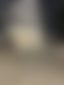 Slut Venice Exposed in the Streets - post hidden image