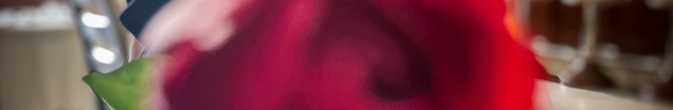 Dirty Baby Girl - profile image