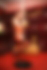 Photoshoot in a strip bar  - post hidden image