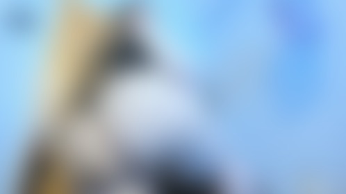 Should I use that lotion on my booty? - post hidden image