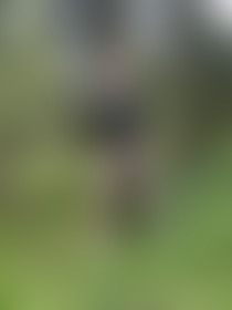 Come get me! 😈 I can't do anything about it... - post hidden image