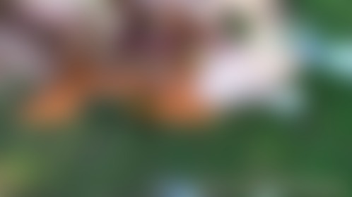 When a planned picknick ended up in a threesome. Fisting, squirting and enjoying each others juice  🥵💦 - post hidden image