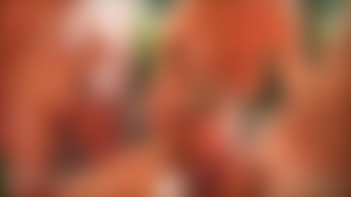 Stranger CUMS across MILFs in the WILD - post hidden image