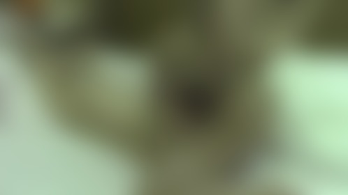 This video was shot in February 2023. - post hidden image