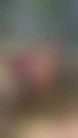 Lekker topless in de hangmat 😜