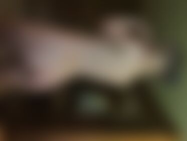 lets play - post hidden image