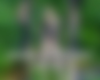 Binnenkort meer buiten opnames - post hidden image