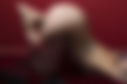 that ass! - post hidden image