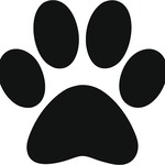 🐾🐾 - profile avatar