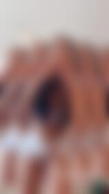 FU CARONA - post hidden image