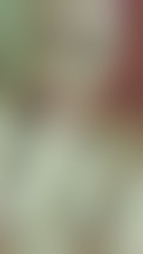 Happy st patty’s day - post hidden image