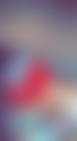 Red leather - post hidden image
