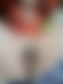 Lick my  big hairypussylips - post hidden image