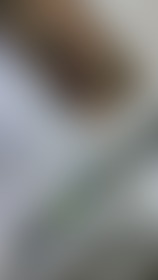 My assssss - post hidden image