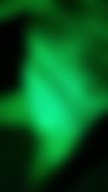Night Swim - post hidden image