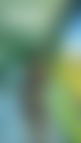 you love the view or you love this body? 🤭 - post hidden image