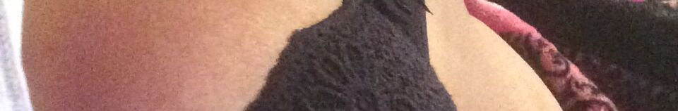 ShanaeScreams - profile image