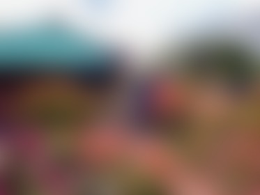 Love this - post hidden image