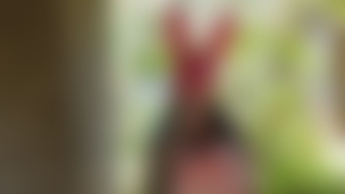 i love it deep in my throat - post hidden image