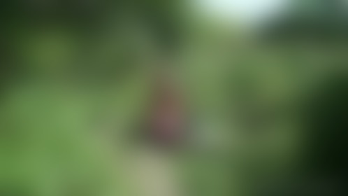 Casual sex by the pond - post hidden image