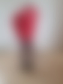 🧹🧹 - post hidden image