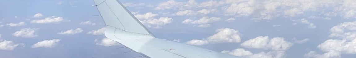 Flightattendant - profile image