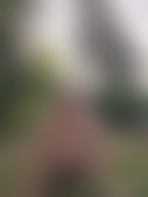 Naked in the outdoors - post hidden image