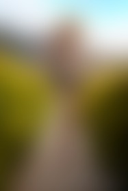 Disfrutando de la naturaleza! - post hidden image
