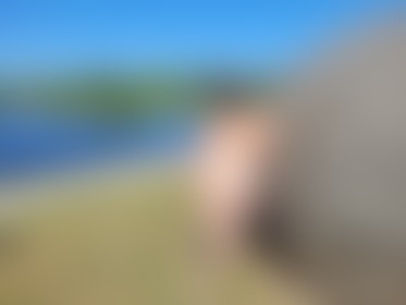 I can't believe I dared to do this! Everyone could see me...

What do you think of my curves? - post hidden image