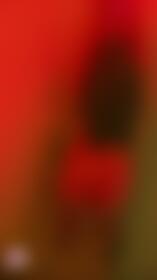 Purchase Your🎟️To Get Into Desirablebottom's Red🔴 District - post hidden image