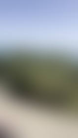Any fun things to do this weekend? - post hidden image