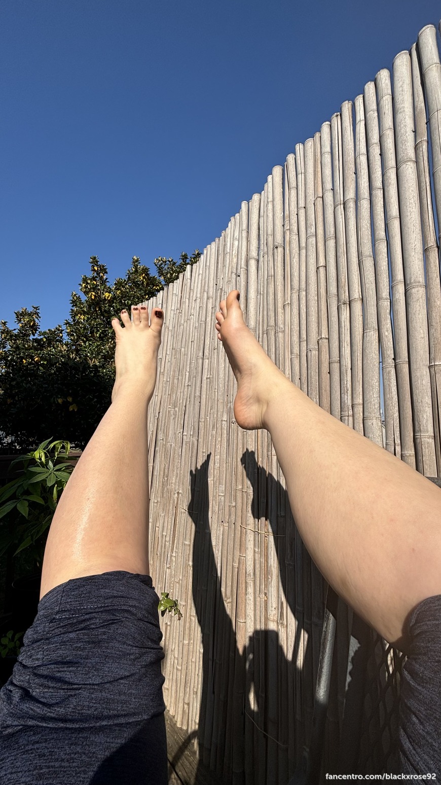 Halloween pedicure and matching manicure with claws🎃🍂🍁👻🕸️🕷️🐈‍⬛🦇🫶🥰 1