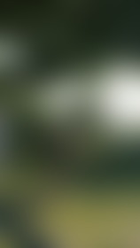 So i spent a few days at the seaside playing some ball and taking loong walks on the beach - post hidden image