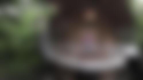 Jungle vibes - post hidden image