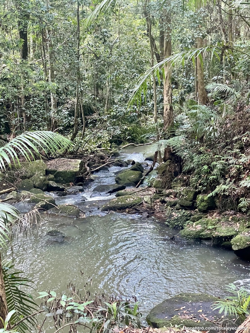 Weekends in Australia 🇦🇺 1foreground