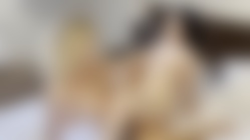 This hot clip now in your DMs! - post hidden image