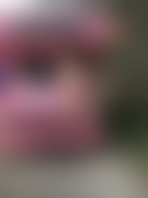 I was traveling with this sleigh on May night! Would you have gone along? 😜 - post hidden image