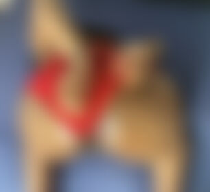 Happy Valentine’s Day - post hidden image