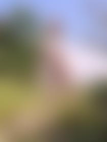 continuation of the forest journey💚 - post hidden image
