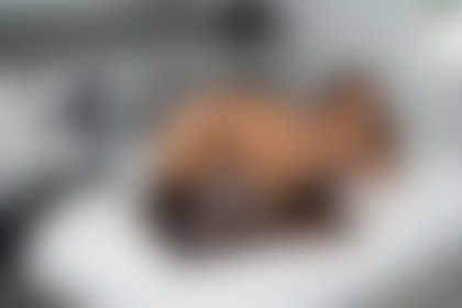 A little BUTT before bed! 🍑🍑🍑 - post hidden image