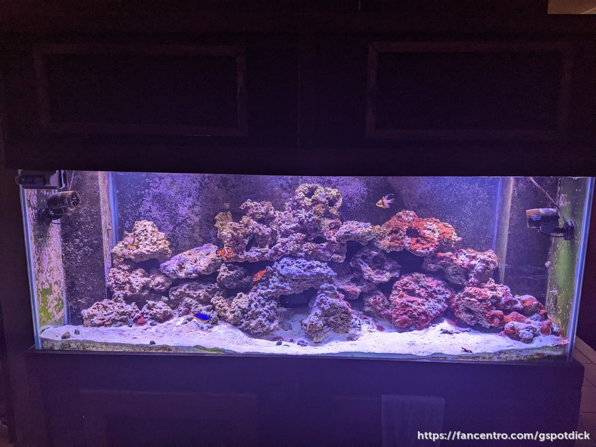 Fish Tank Lights - post image