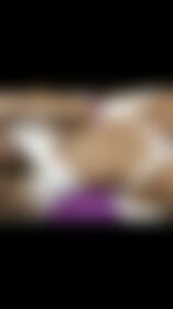 Hablamos un rato? Suscríbete - post hidden image