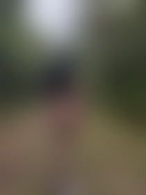 Naughty outside ! - post hidden image