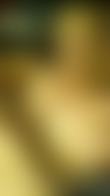 Nothing But Titties - post hidden image