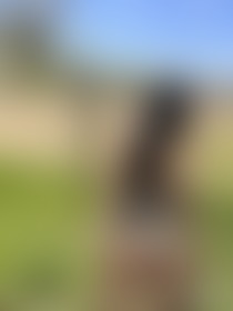 Hi Cowboy - post hidden image